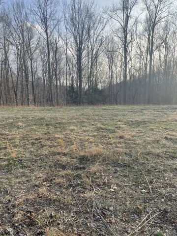 $120,480 | 0 Sugar Tree Knob Road, Liberty, TN 37095