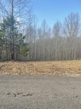 $95,500 | 0 Sugar Tree Knob Road, Liberty, TN 37095