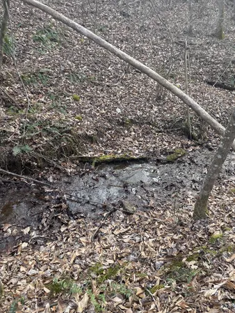 $95,500 | 0 Sugar Tree Knob Road, Liberty, TN 37095