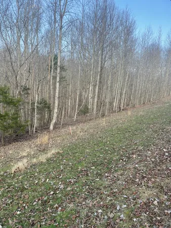 $95,500 | 0 Sugar Tree Knob Road, Liberty, TN 37095