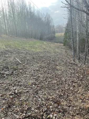 $95,500 | 0 Sugar Tree Knob Road, Liberty, TN 37095