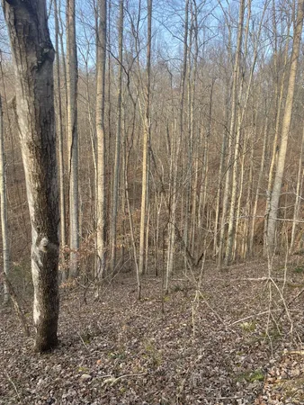$95,500 | 0 Sugar Tree Knob Road, Liberty, TN 37095