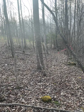 $95,500 | 0 Sugar Tree Knob Road, Liberty, TN 37095