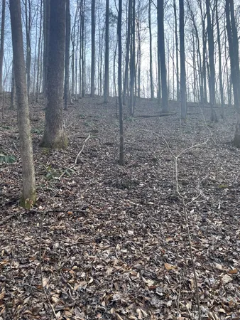 $95,500 | 0 Sugar Tree Knob Road, Liberty, TN 37095