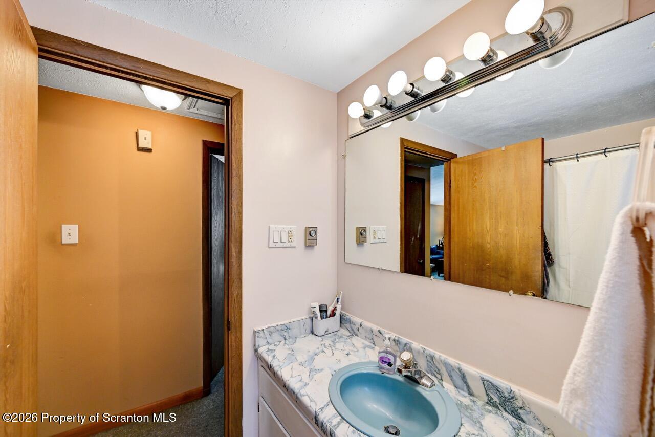 1317 Heart Lake Road Scott Township, PA 18433 - Photo 33 of 60 a bathroom with a sink a mirror and a shower