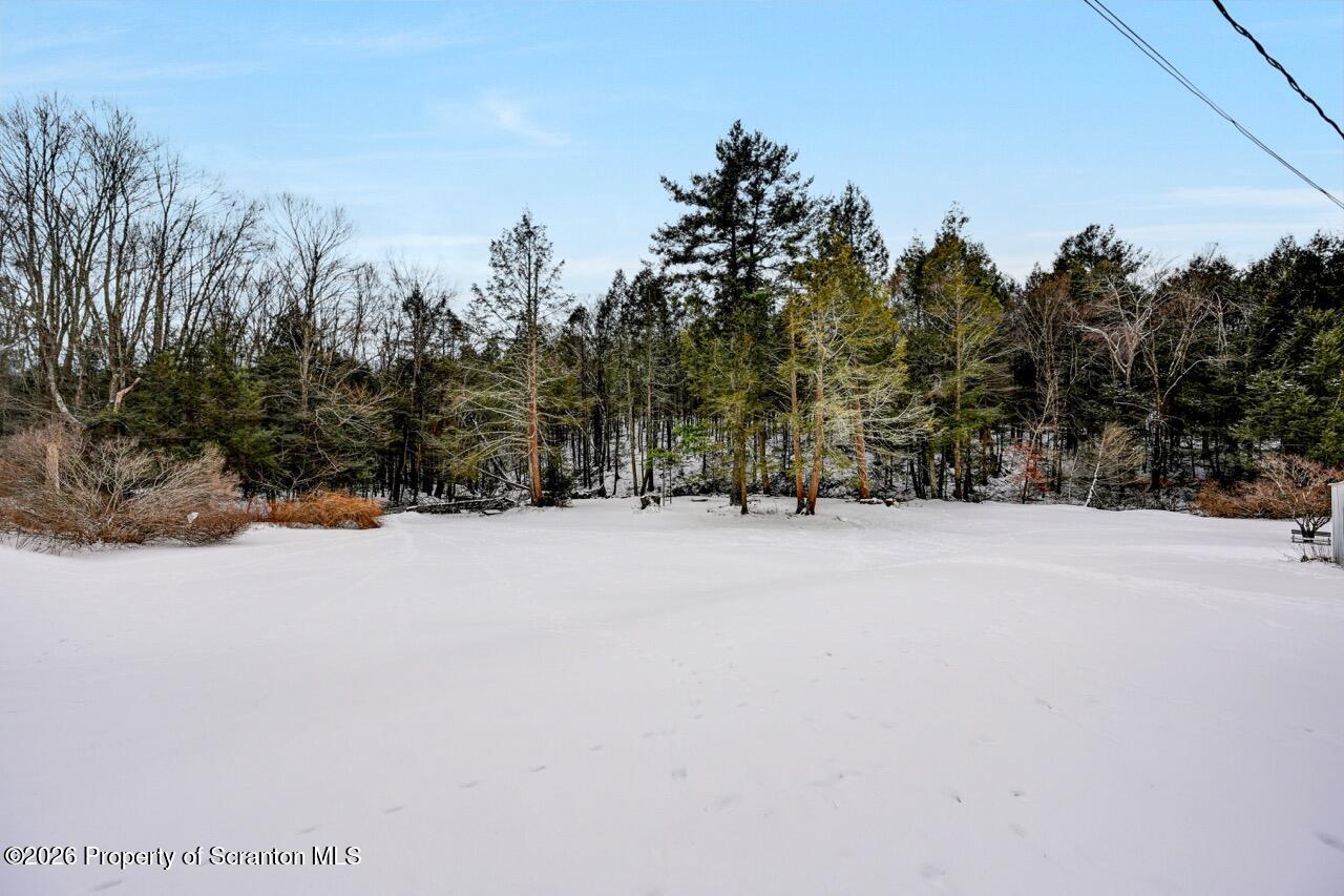 1317 Heart Lake Road Scott Township, PA 18433 - Photo 51 of 60 1317 Heart Lake Rd 49 Large
