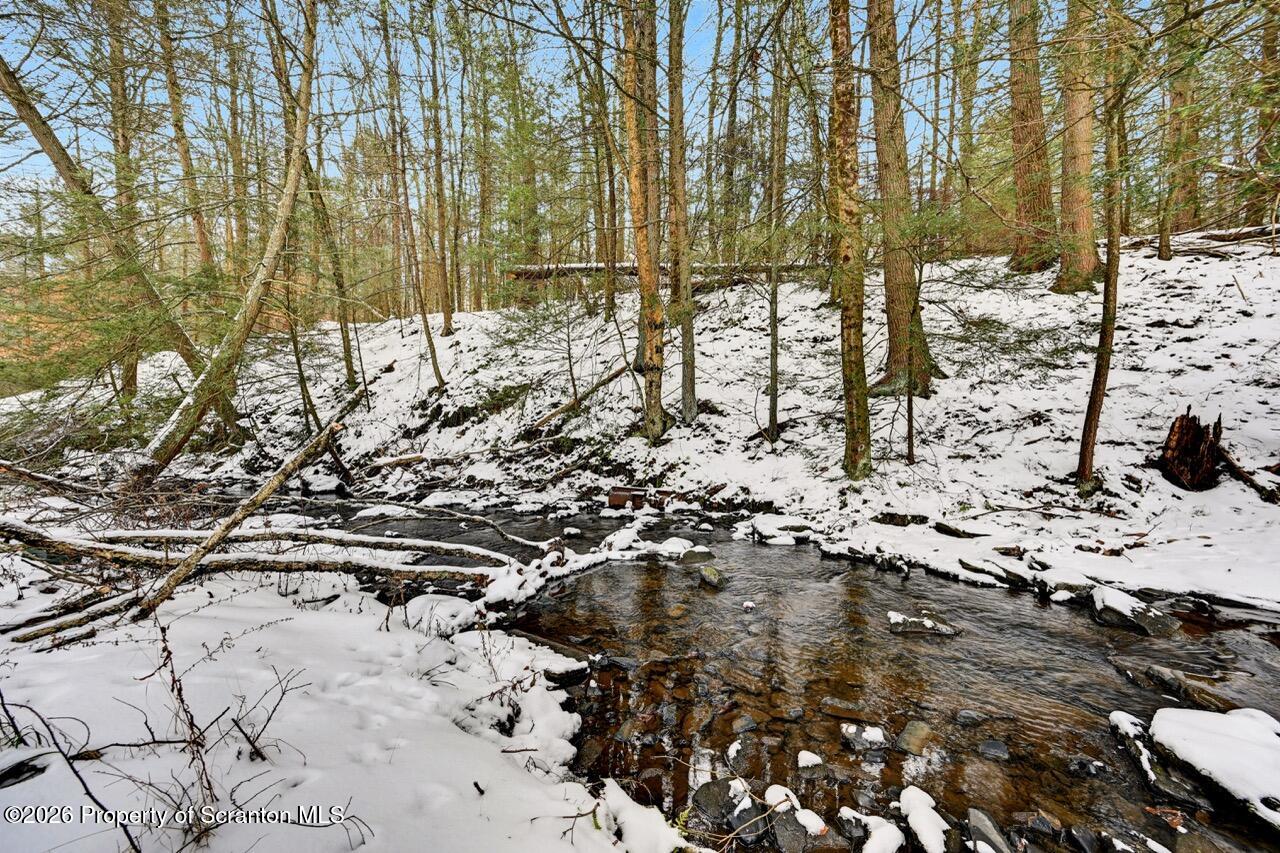 1317 Heart Lake Road Scott Township, PA 18433 - Photo 56 of 60 1317 Heart Lake Rd 54 Large
