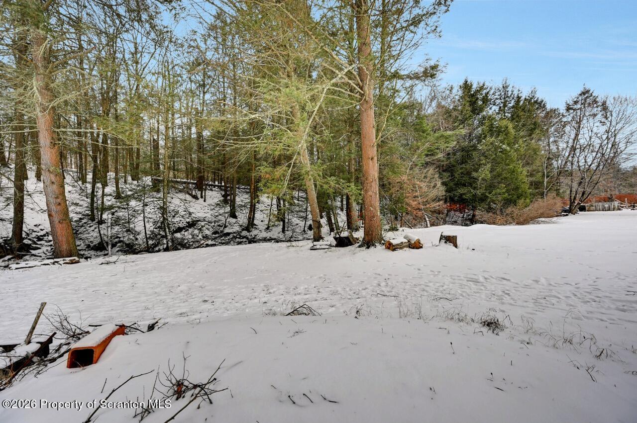 1317 Heart Lake Road Scott Township, PA 18433 - Photo 59 of 60 1317 Heart Lake Rd 57 Large