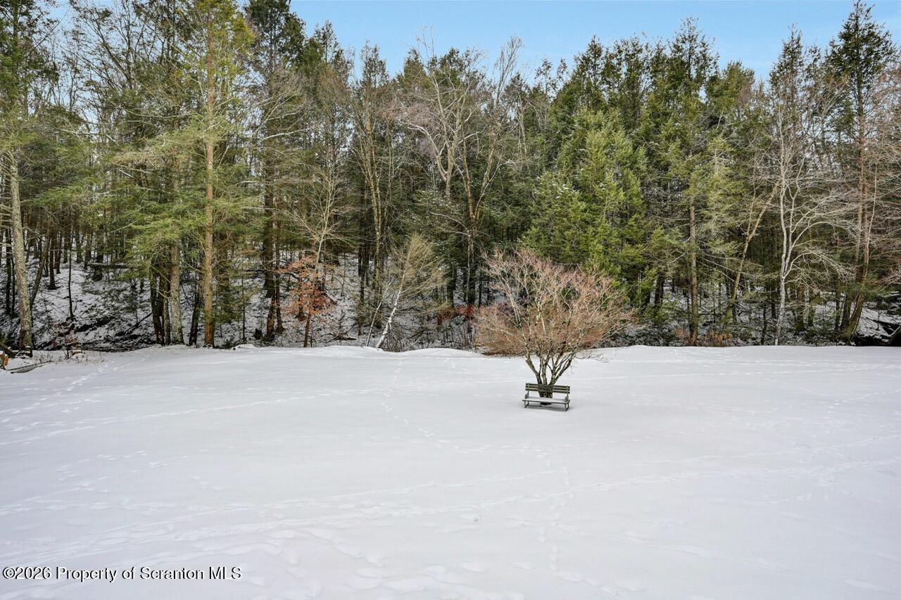 1317 Heart Lake Road Scott Township, PA 18433 - Photo 60 of 60 1317 Heart Lake Rd 58 Large