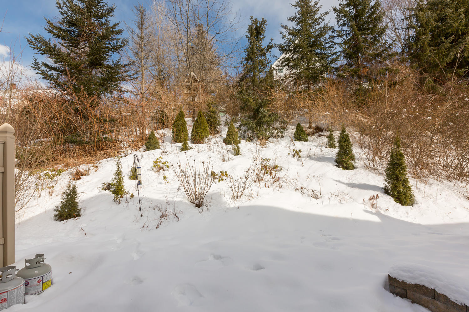 110 Starbird Road, Unit 7 Portland, ME 04102 - Photo 43 of 49 Extensive Perennial Garden