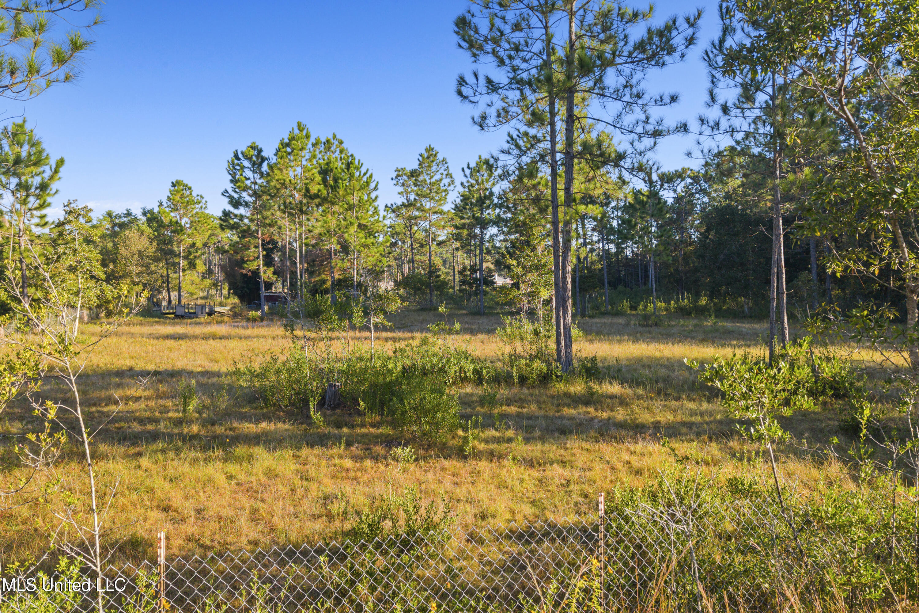 Meadowbrook Avenue Vancleave, MS 39565 - Photo 11 of 15 0002