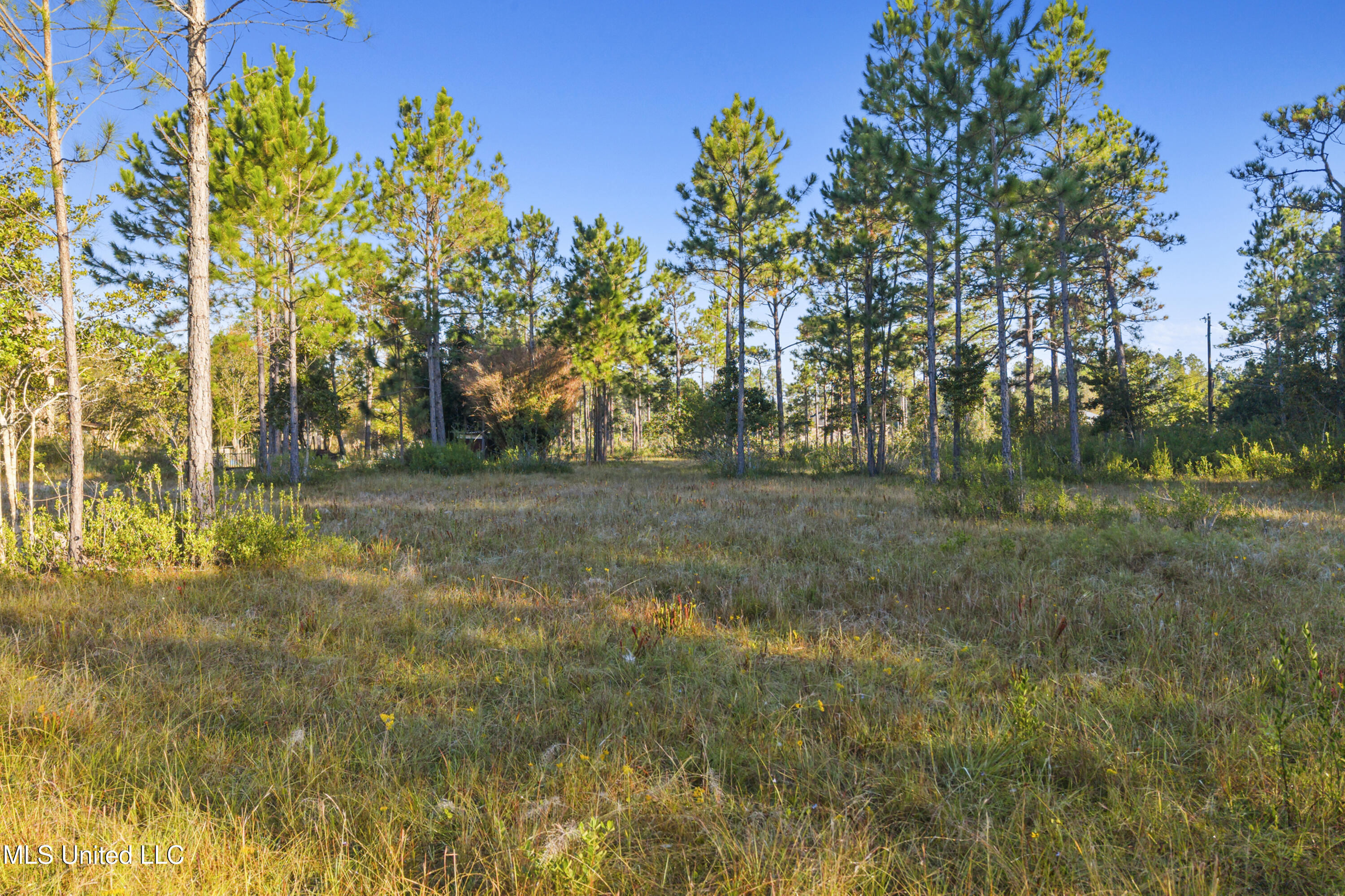 Meadowbrook Avenue Vancleave, MS 39565 - Photo 12 of 15 0017