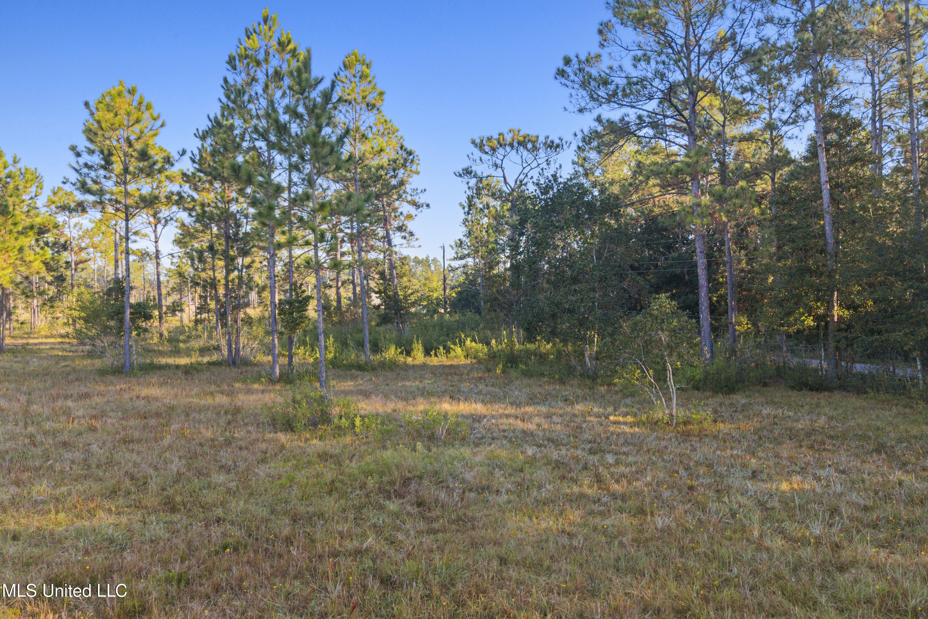 Meadowbrook Avenue Vancleave, MS 39565 - Photo 13 of 15 0003