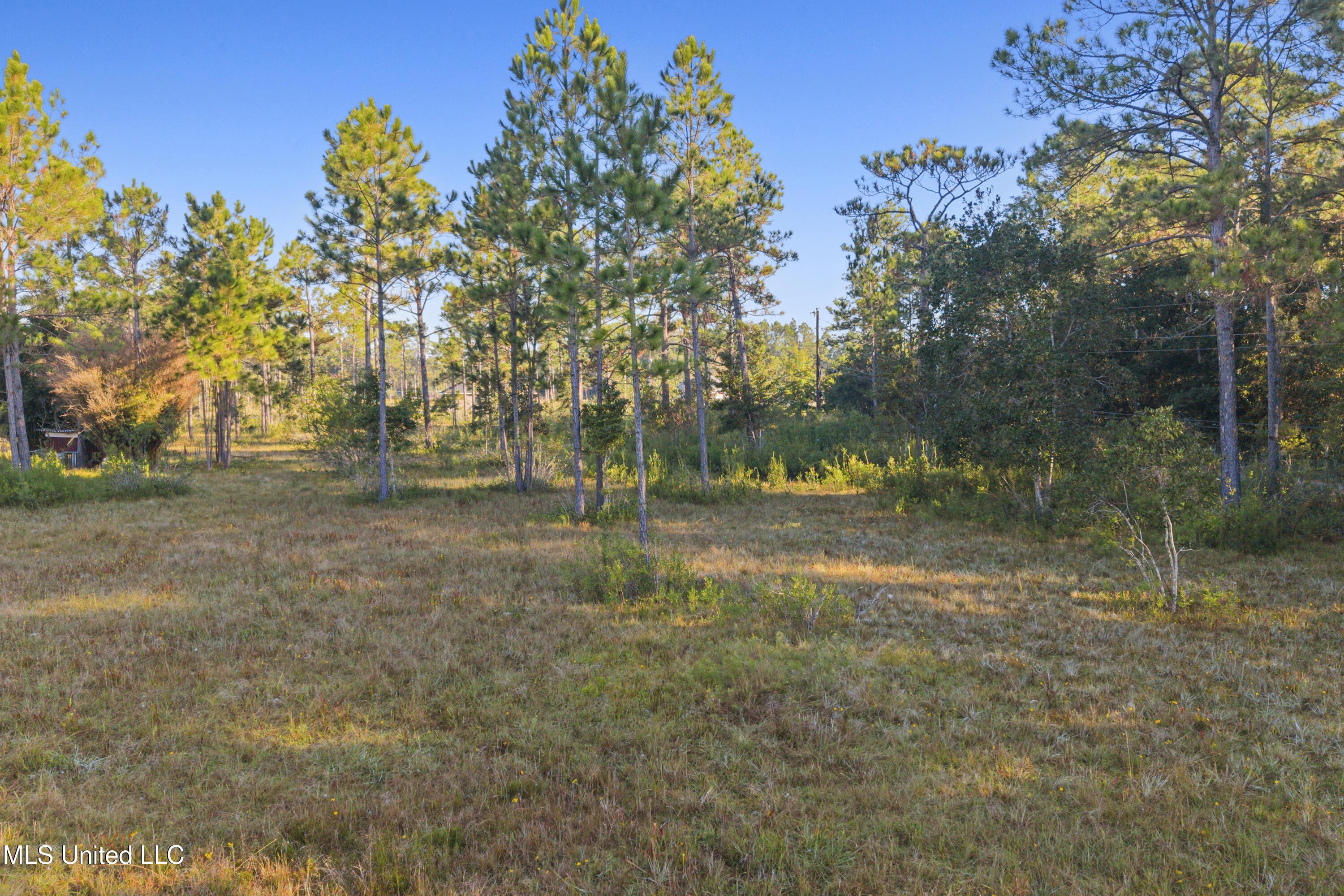 Meadowbrook Avenue Vancleave, MS 39565 - Photo 14 of 15 0018