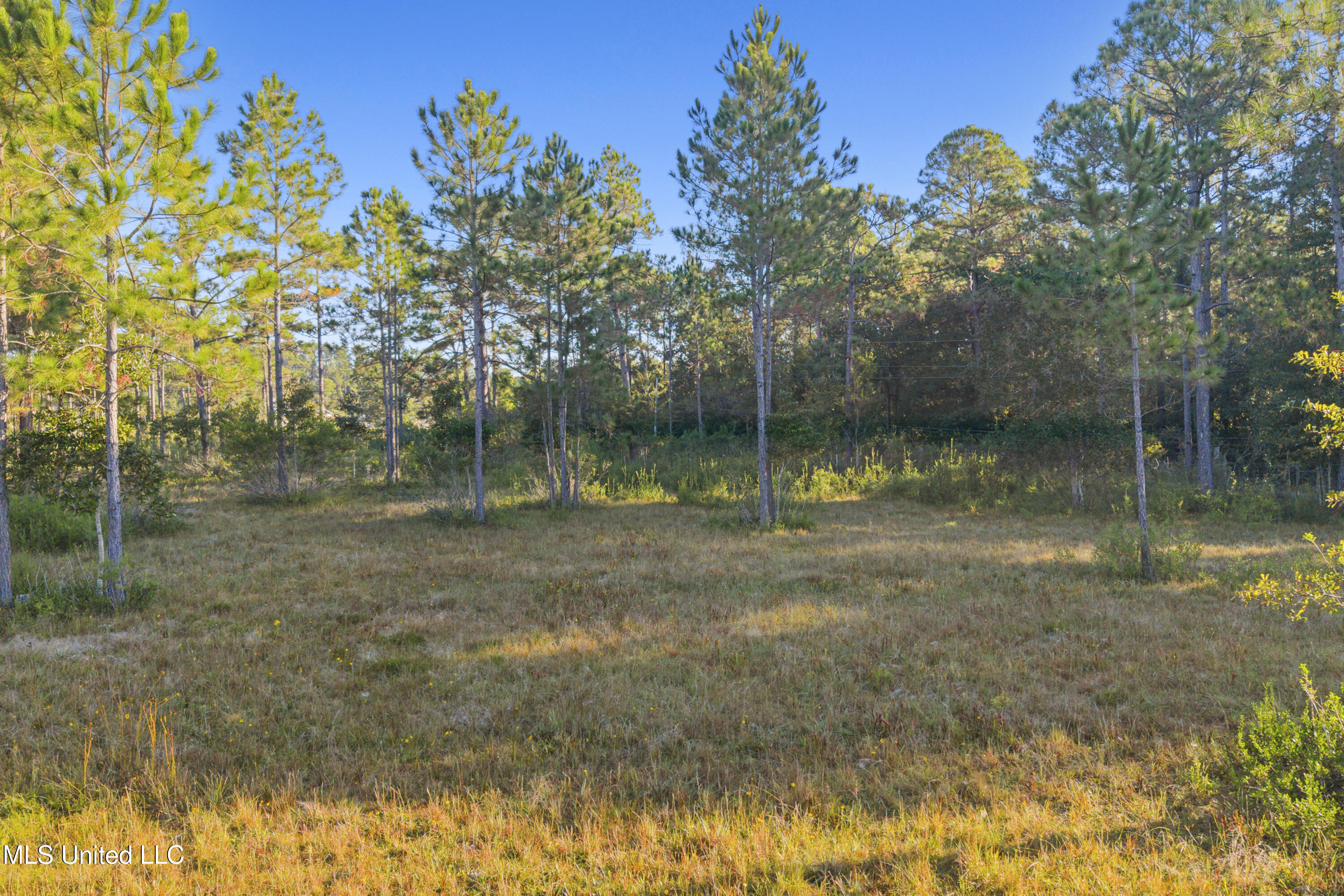 Meadowbrook Avenue Vancleave, MS 39565 - Photo 15 of 15 0019