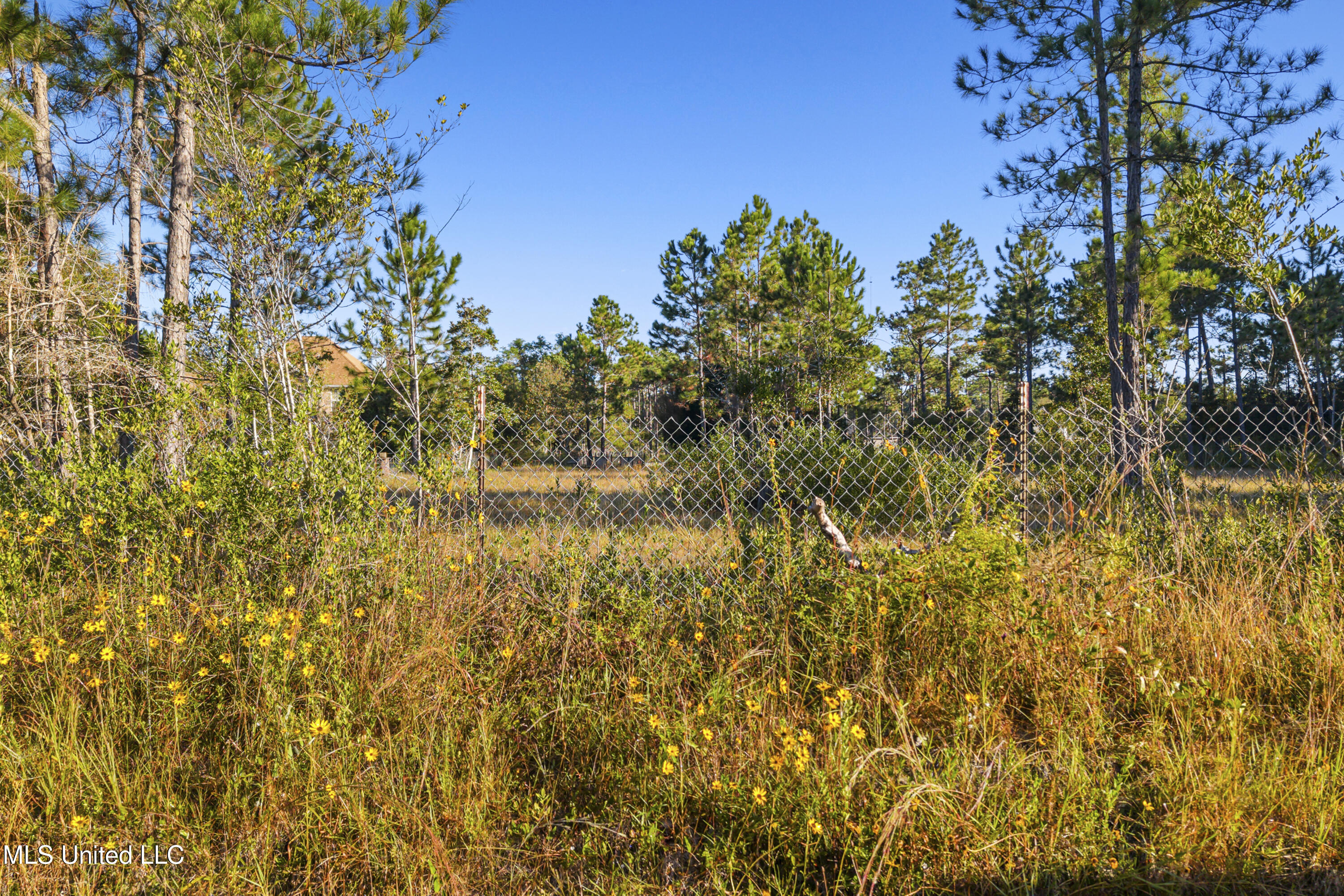 Meadowbrook Avenue Vancleave, MS 39565 - Photo 9 of 15 0001