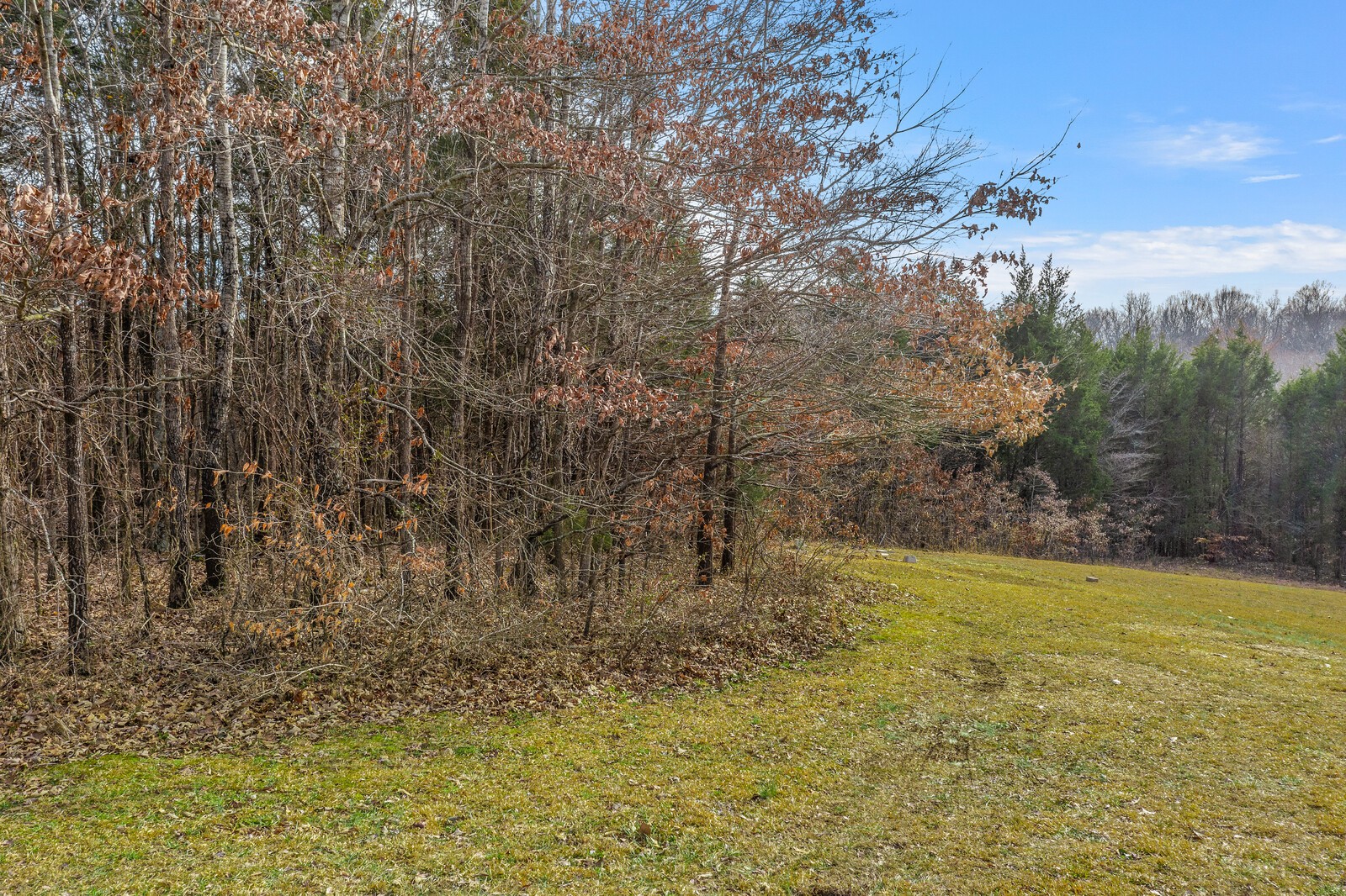 984 Hooper Road Charlotte, TN 37036 - Photo 44 of 46 Gallery Image 44