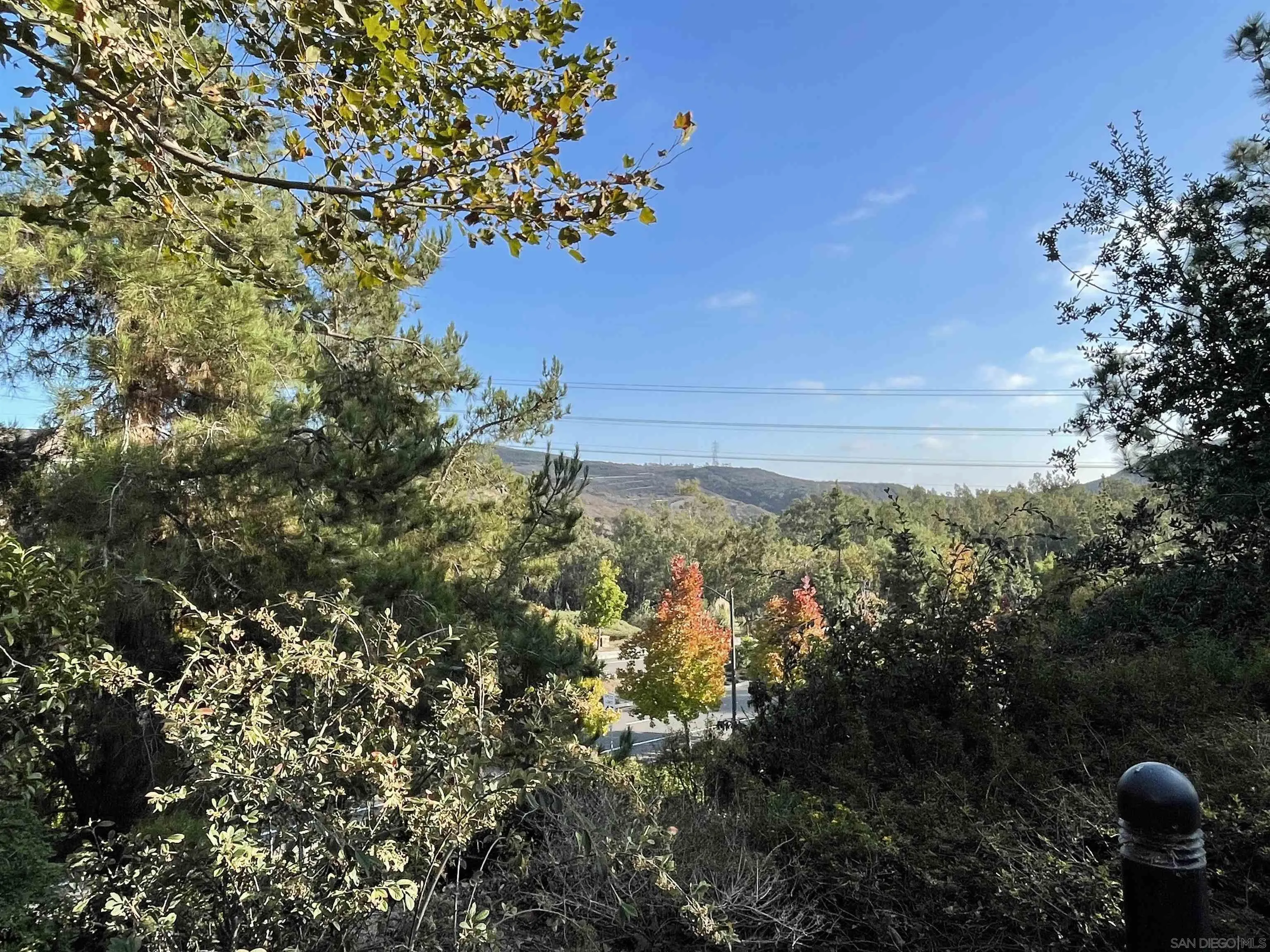 1685 Avery Road San Marcos, CA 92078 - Photo 5 of 26 a view of a tree in a yard