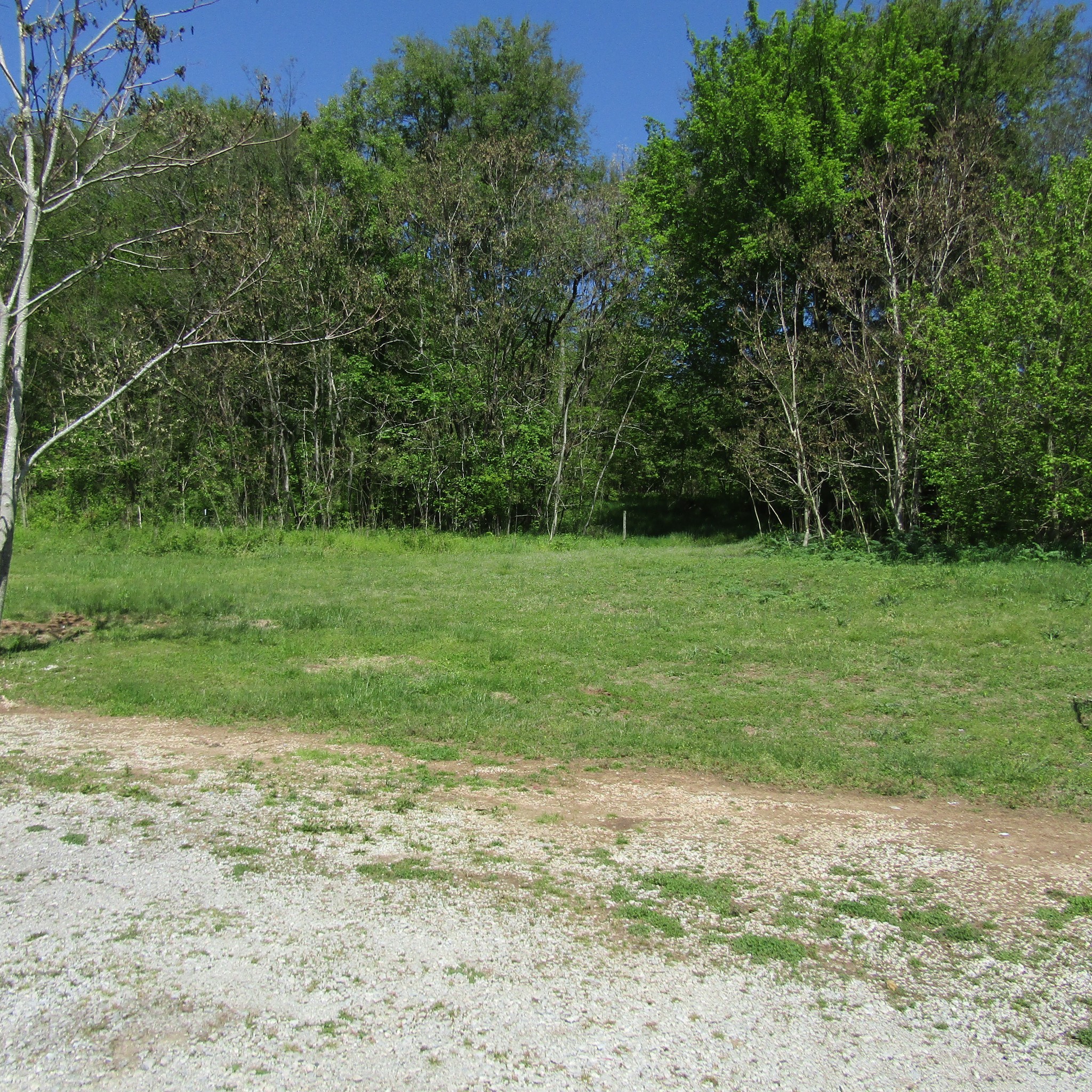 2059 Sims Road Culleoka, TN 38451 - Photo 8 of 8 Gallery Image 8