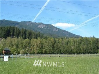 101 River Ranch Road Randle, WA 98377 - Photo 1 of 4 Gallery Image 1