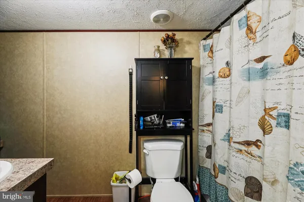 a bathroom with a toilet and a shower curtain