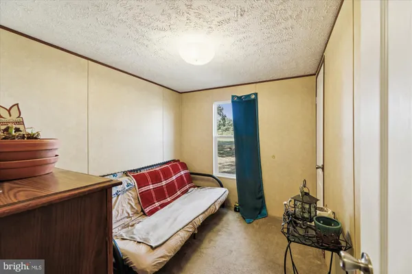 a living room with a couch and a potted plant