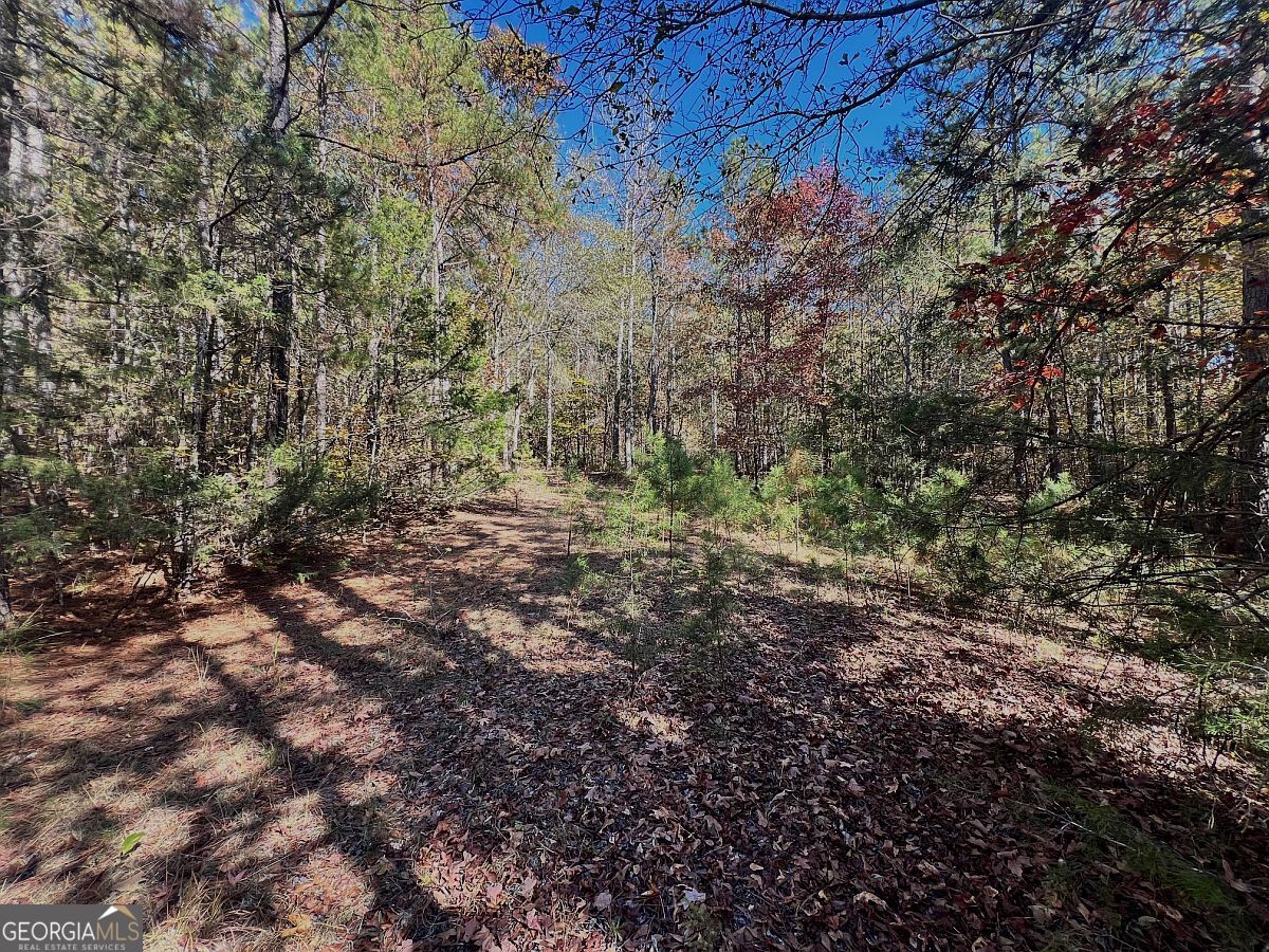 17.86-ac Pine Ridge Drive Elberton, GA 30635 - Photo 16 of 17 Gallery Image 16