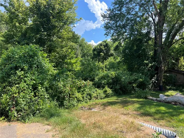 $7,000 | 0 Main Mill Spring, Mill Spring, MO 63952