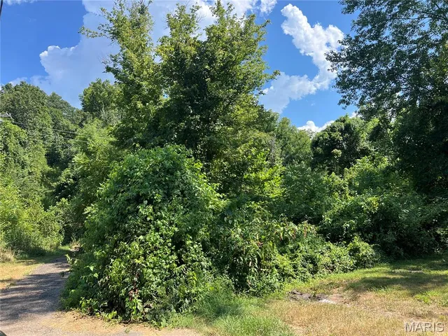 $7,000 | 0 Main Mill Spring, Mill Spring, MO 63952