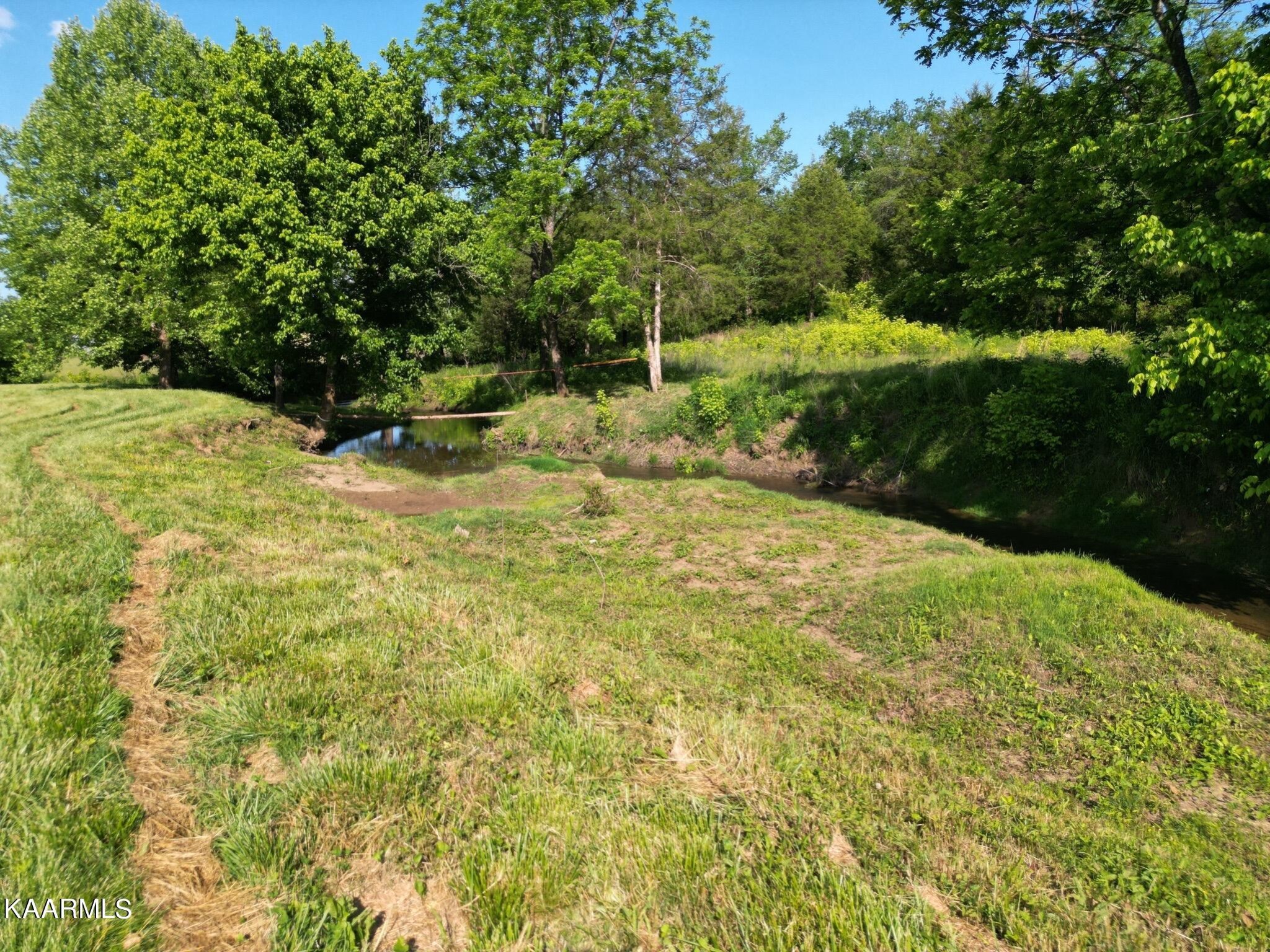 609 Bryan Road Rutledge, TN 37861 - Photo 13 of 47 a view of yard with green space