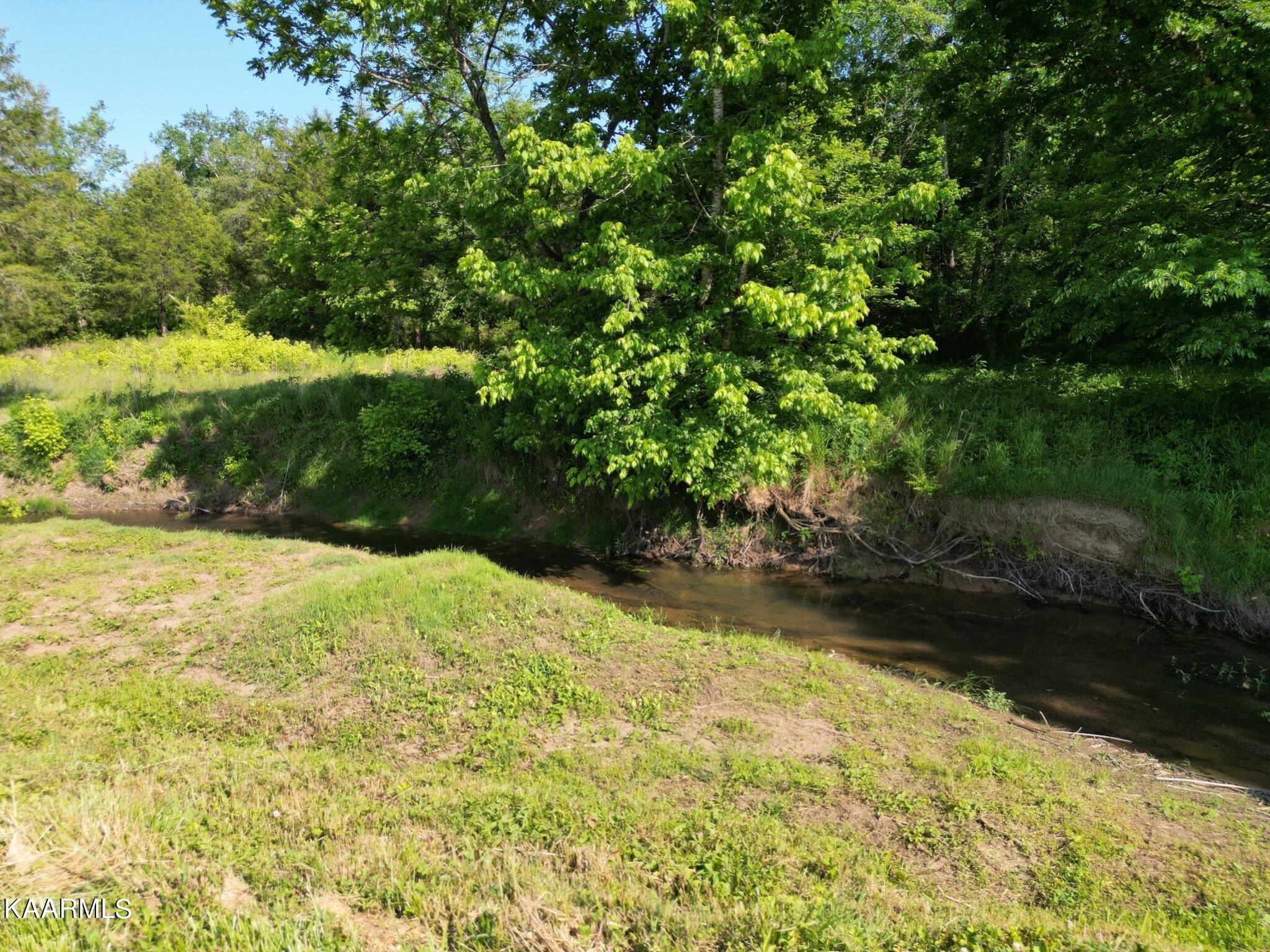609 Bryan Road Rutledge, TN 37861 - Photo 14 of 47 a view of yard with green space
