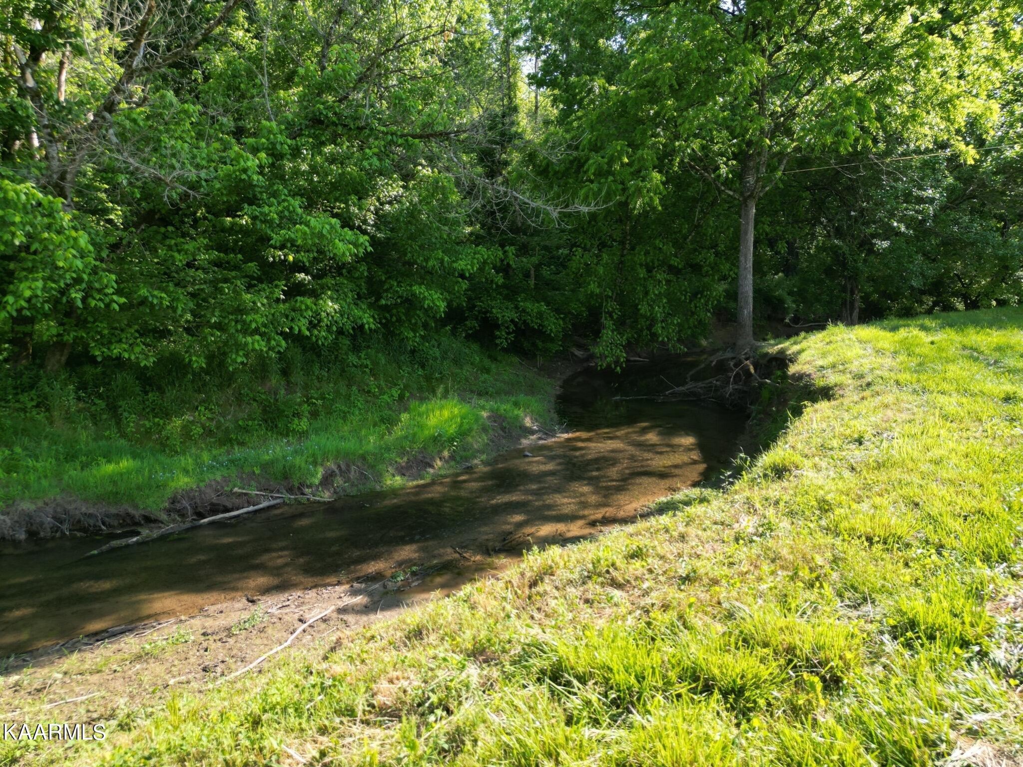 609 Bryan Road Rutledge, TN 37861 - Photo 15 of 47 a view of backyard with green space