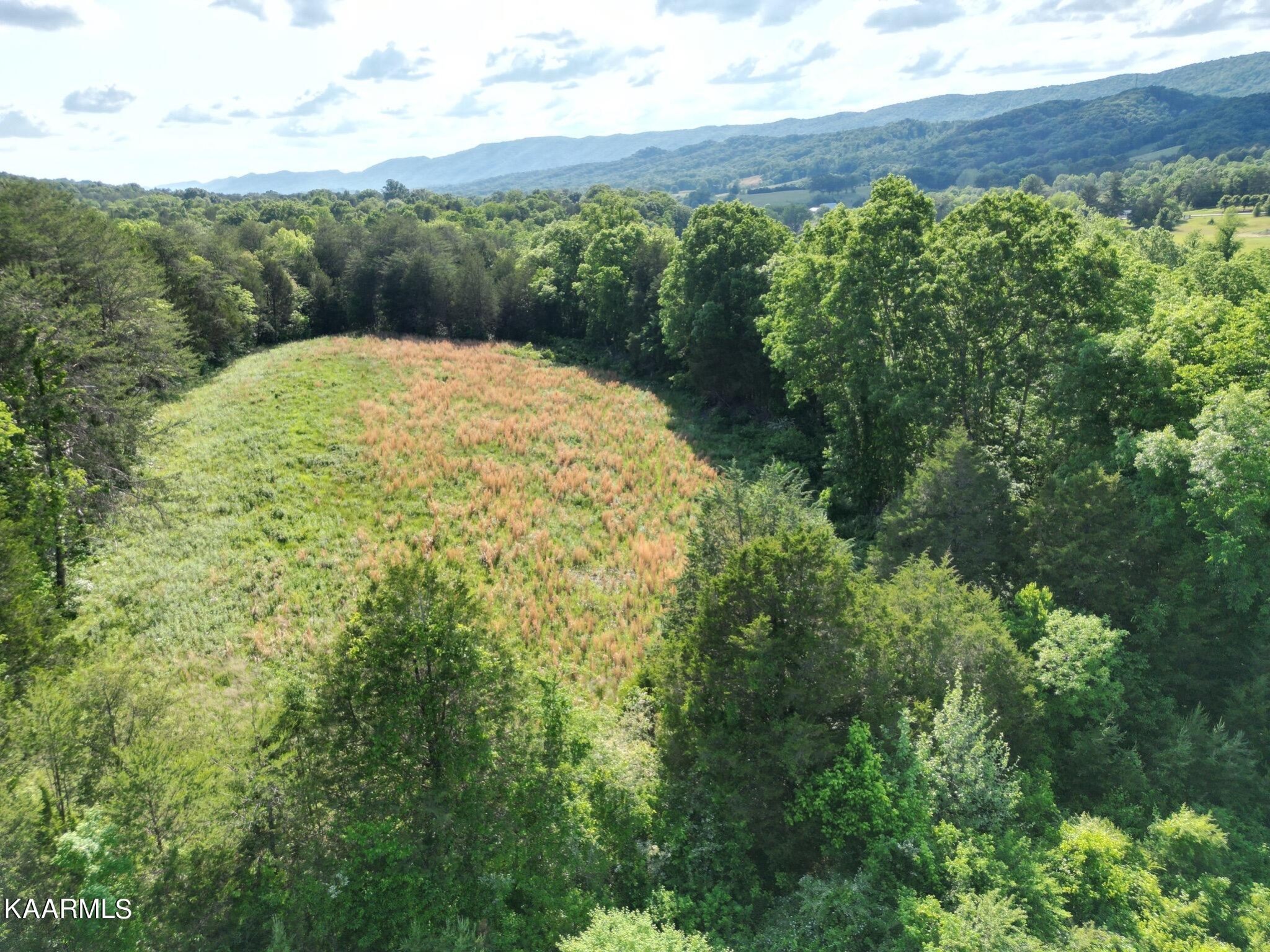 609 Bryan Road Rutledge, TN 37861 - Photo 18 of 47 a view of mountain view with an outdoor space