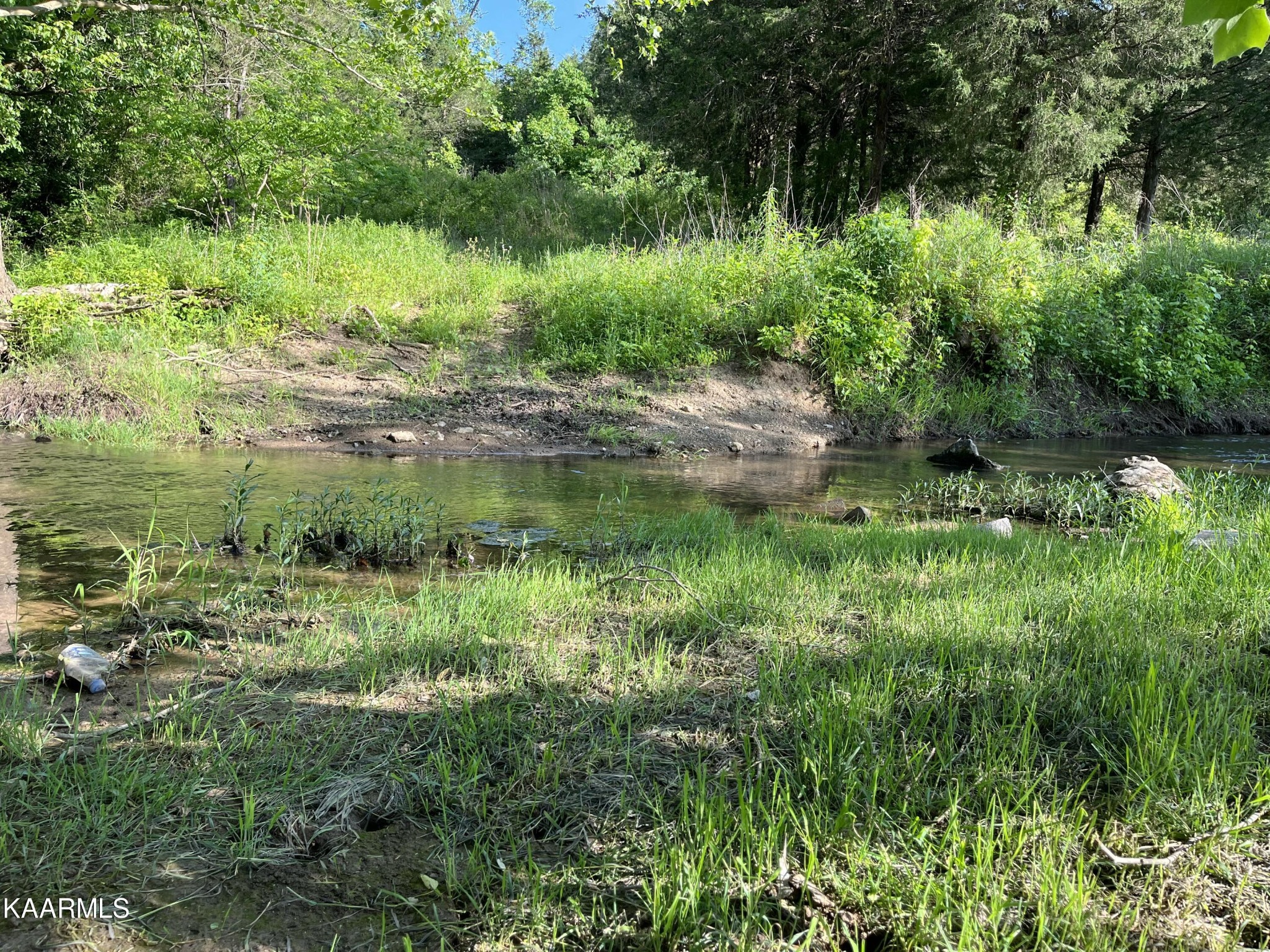 609 Bryan Road Rutledge, TN 37861 - Photo 47 of 47 a view of a lake with a tree