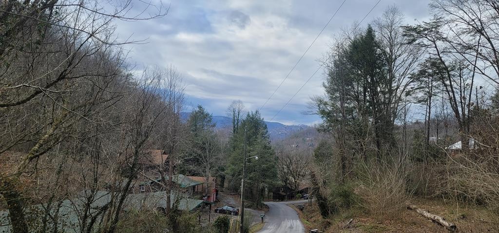 0 Newman Road Gatlinburg, TN 37738 - Photo 1 of 12