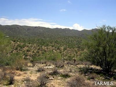 0 East Gasline Road, Unit D2 Marana, AZ 85658 - Photo 4 of 5