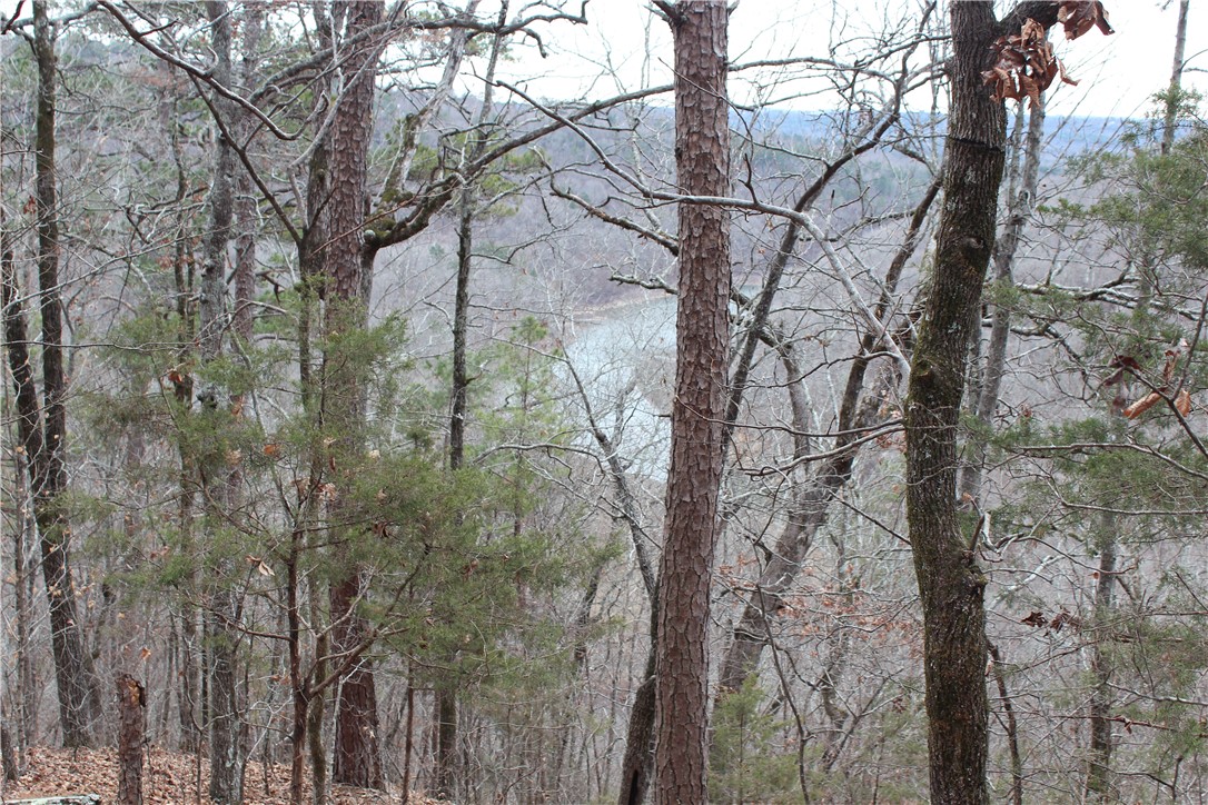 0 Old Brewer Road South Edgemont, AR 72044 - Photo 50 of 60 Water view featuring a heavily wooded area