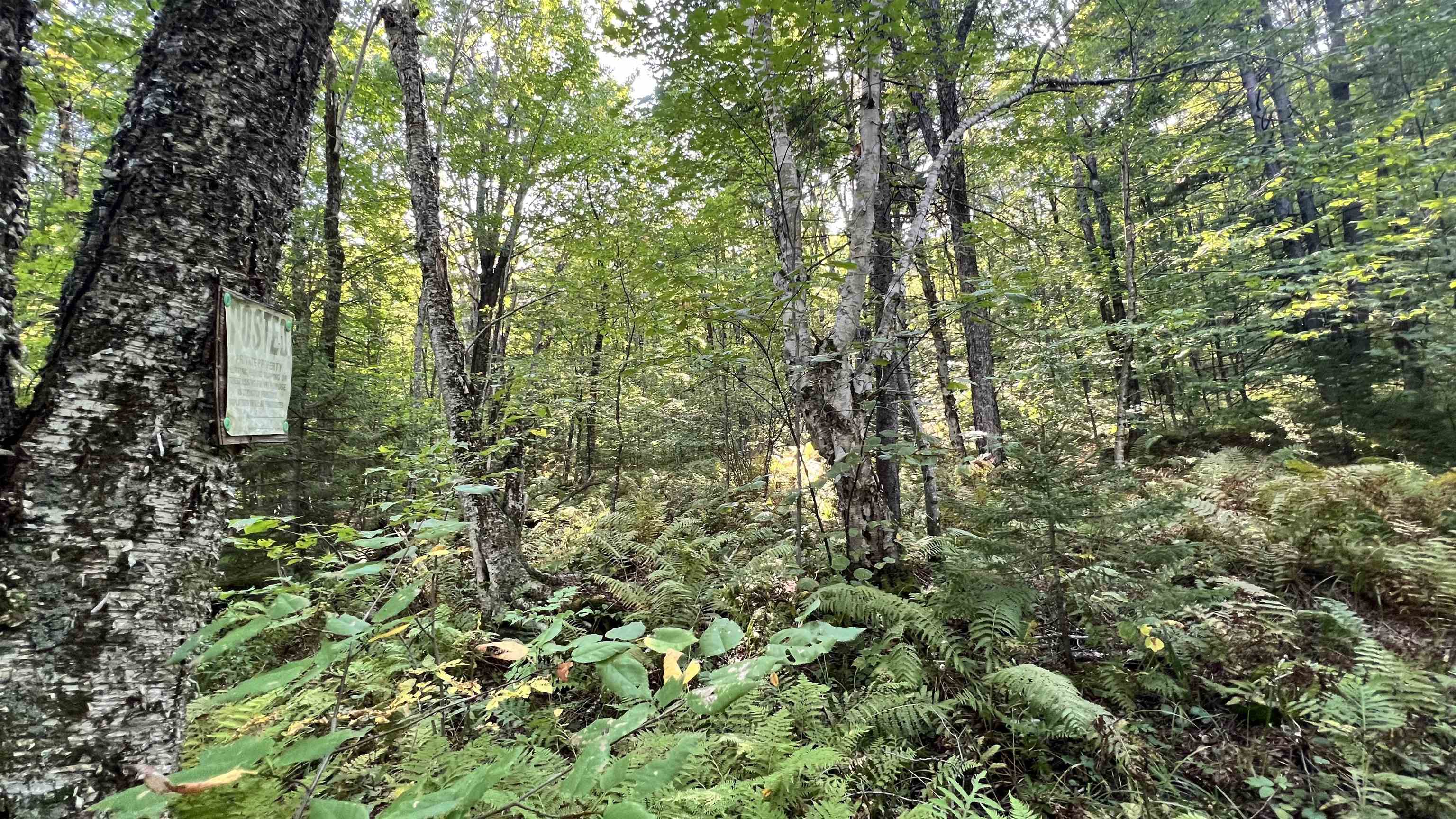 2075 Codding Hollow Road Johnson, VT 05656 - Photo 52 of 59