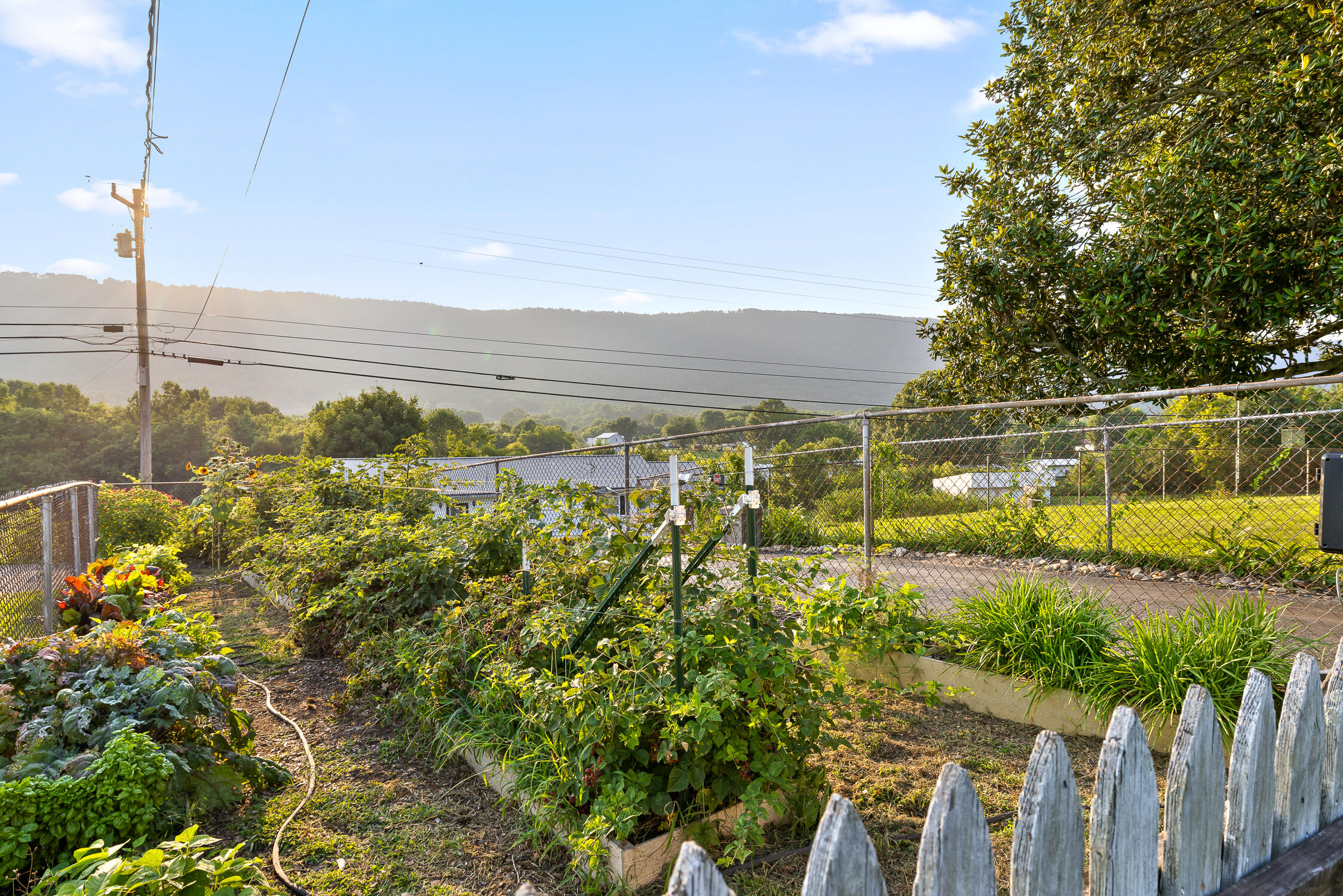 944 North Maple Whitwell, TN 37397 - Photo 33 of 90 N Maple-32