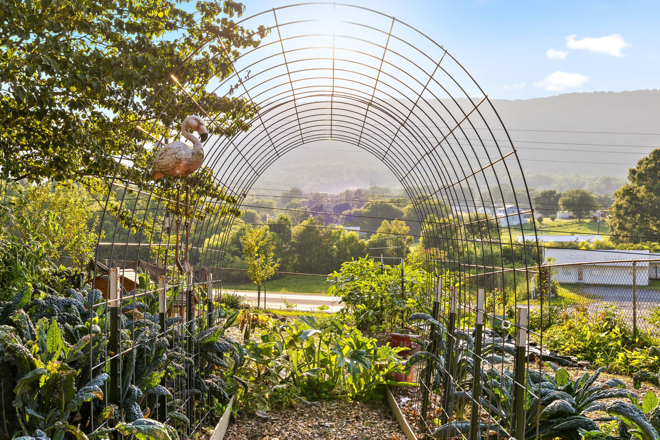 944 North Maple Whitwell, TN 37397 - Photo 34 of 90 N Maple-23