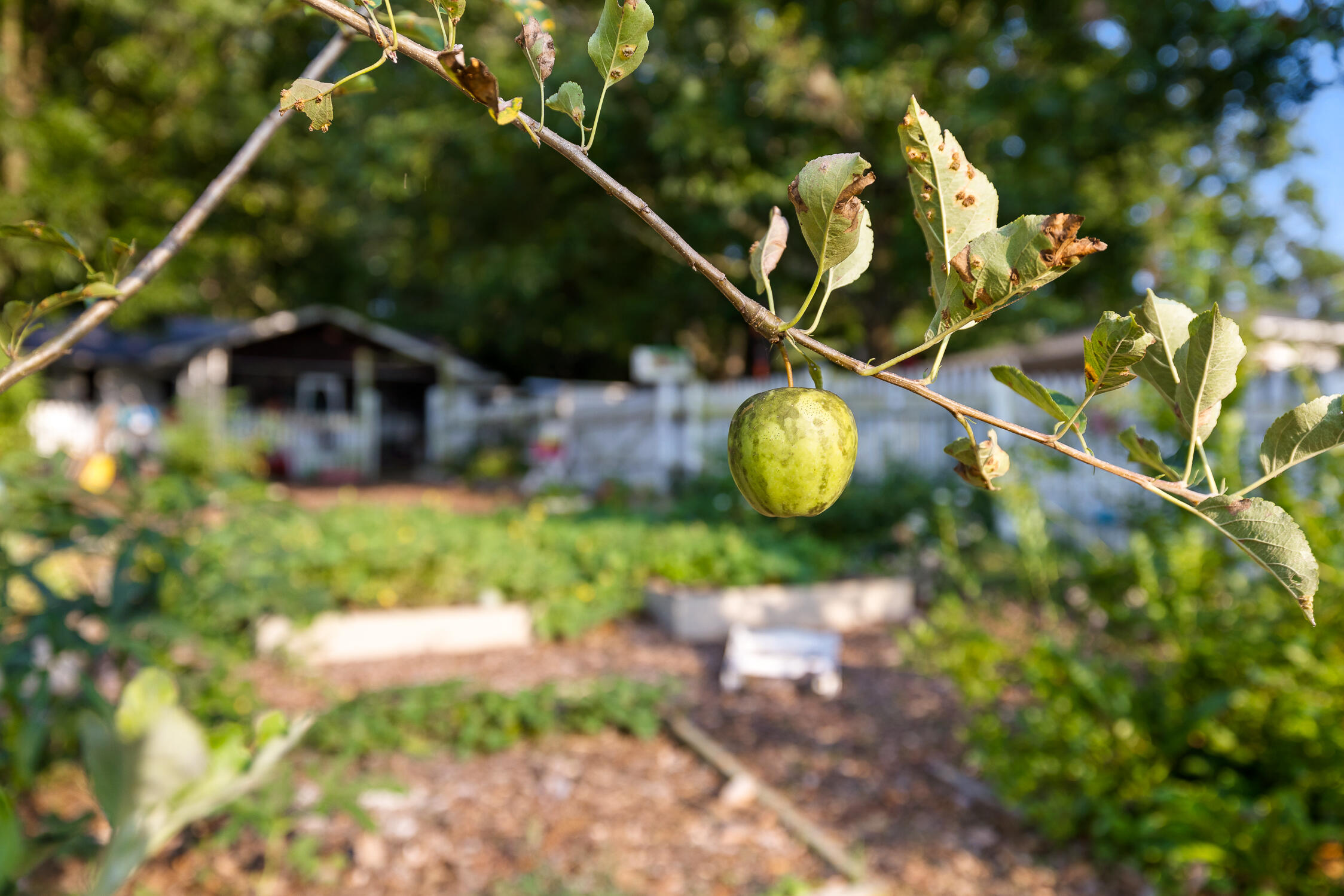 944 North Maple Whitwell, TN 37397 - Photo 35 of 90 N Maple-19