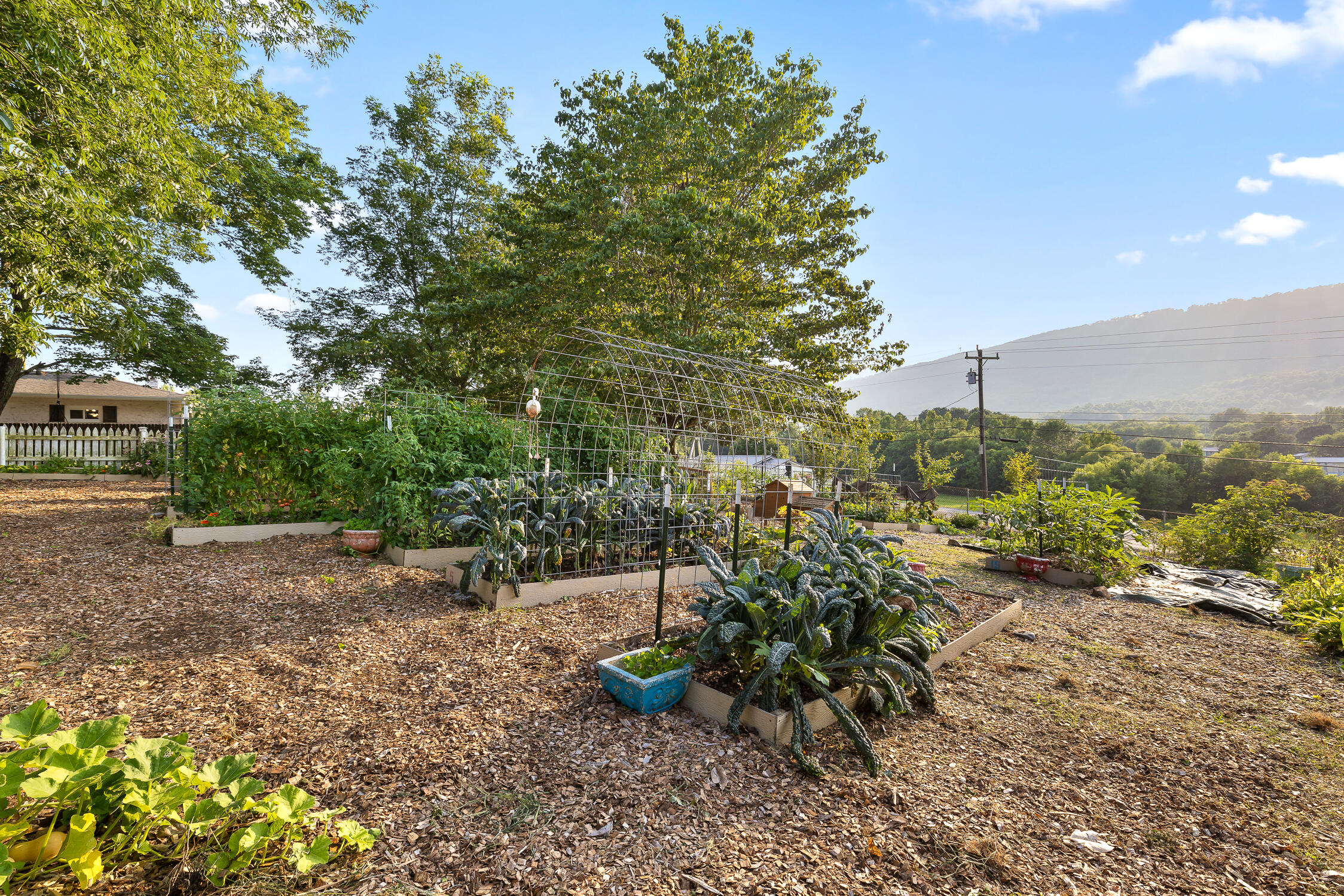 944 North Maple Whitwell, TN 37397 - Photo 36 of 90 N Maple-21