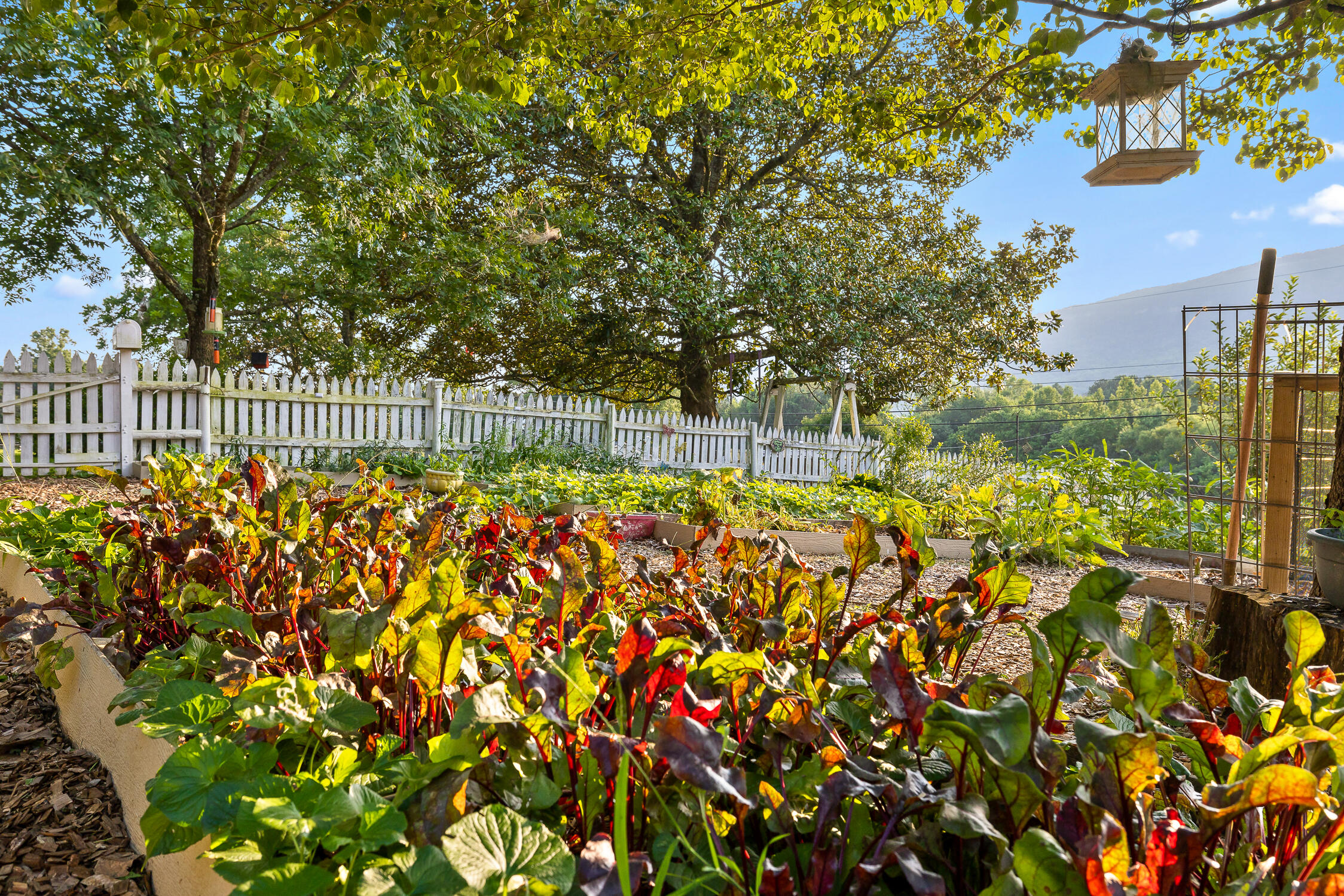 944 North Maple Whitwell, TN 37397 - Photo 38 of 90 N Maple-25