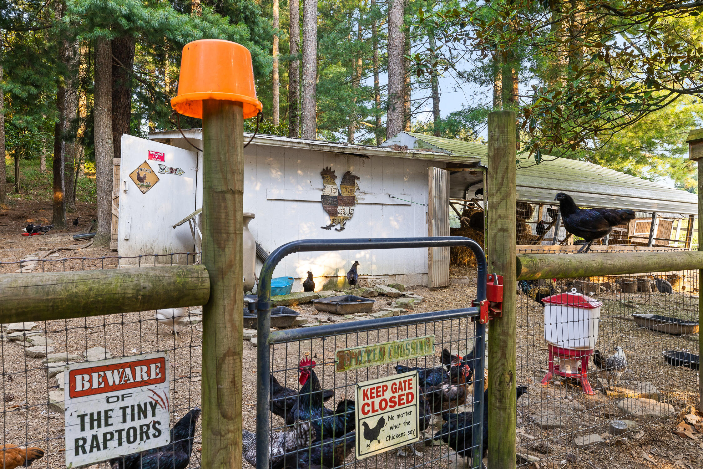 944 North Maple Whitwell, TN 37397 - Photo 57 of 90 N Maple-45