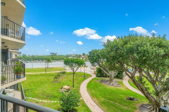 a view of a swimming pool with a garden