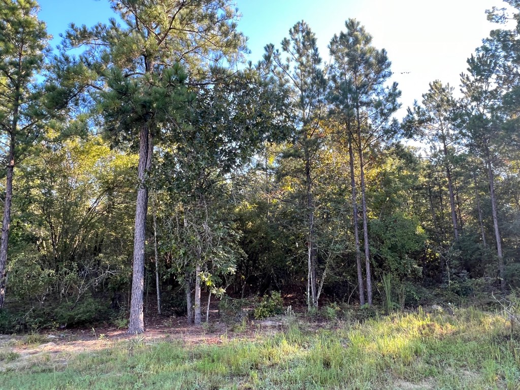 225 Bethel Road Box Springs, GA 31801 - Photo 14 of 14 Gallery Image 14