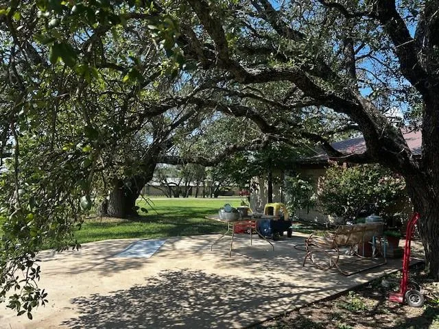 a view of a park with large trees