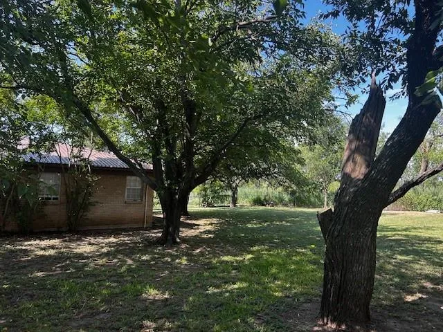 a view of a tree in front of a house