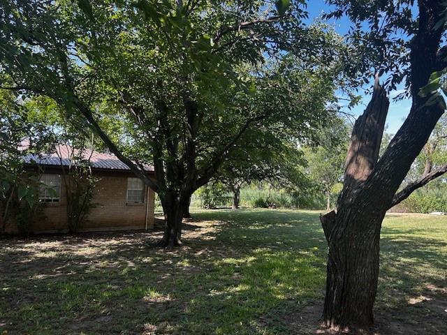 320 County Road 401 Comanche, TX 76442 - Photo 25 of 26 a view of a tree in front of a house