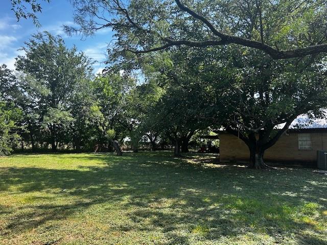 320 County Road 401 Comanche, TX 76442 - Photo 26 of 26 a view of a field with a tree in the background